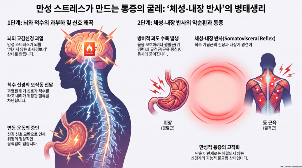 신경성 위경련과 뒷목 뻣뻣함, 굳어버린 장기와 근육을 푸는 천연 진경 약리 (자율신경 통합 치료 4편)